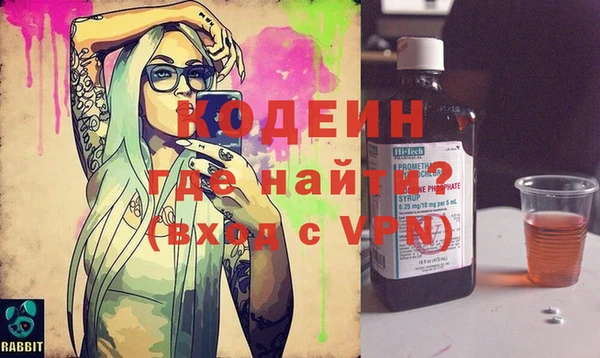 стаф Кулебаки
