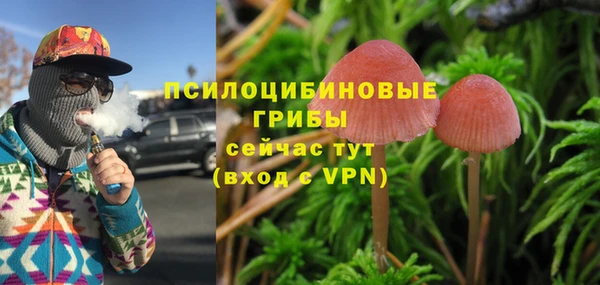 стаф Кулебаки